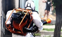 Olimpíadas podem potencializar disseminação da dengue, chikungunya e zika