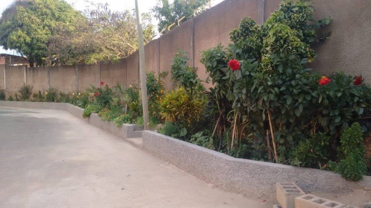 BOM EXEMPLO: Moradoras de Guanhães fazem e cuidam de um jardim na rua onde moram