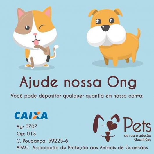 ONG Pets de Rua e Adoção Guanhães suspende atendimentos em razão da dificuldade financeira