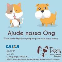 ONG Pets de Rua e Adoção Guanhães suspende atendimentos em razão da dificuldade financeira
