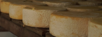 Produtores de queijo de Minas arrasam em concurso internacional na França