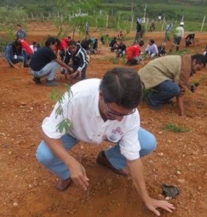 3 mil mudas: autoridades ajudam a reflorestar Conceição do Mato Dentro 