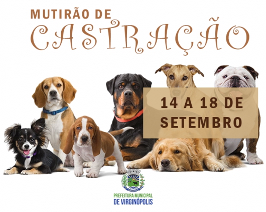 Prefeitura de Virginópolis em parceria com o Instituto Jabuticaba começam hoje a castração de animais de rua