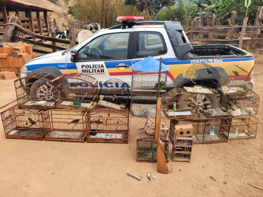 Polícia Militar de Meio Ambiente realiza operação e liberta aves mantidas em cativeiro em São José do Jacuri e São Sebastião do Maranhão