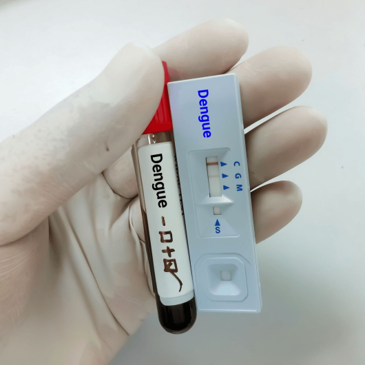 Teste r&aacute;pido de dengue passa a integrar tabela do SUS