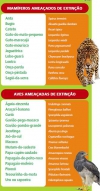 Resultados do monitoramento da fauna evidenciam a alta qualidade ambiental em cinco &aacute;reas da CENIBRA, uma delas situada em Sabin&oacute;polis
