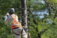 Aneel prorroga até 31 de julho proibição de corte de energia elétrica