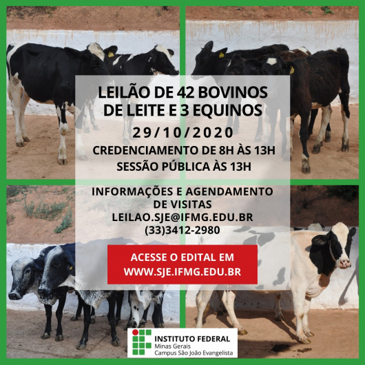 Credenciamento para Leilão Administrativo de bovinos e equinos vivos do IFMG SJE termina na próxima quinta-feira