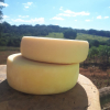 Regi&otilde;es produtoras de Queijo Minas Artesanal realizam concursos regionais
