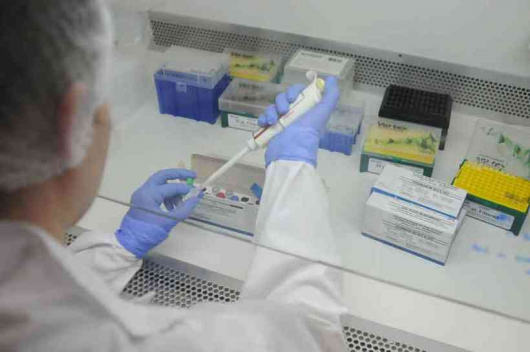 Minas detecta circulação de 13 variantes do novo coronavírus