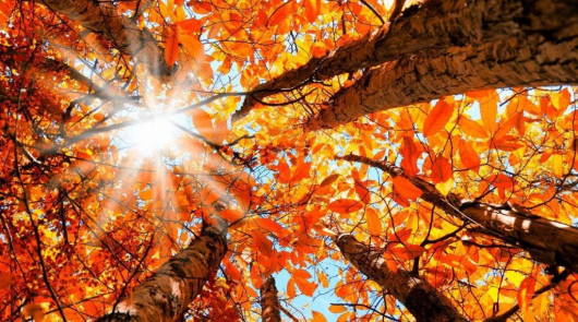 GUANHÃES: Outono começa com previsão de sol e temperaturas mais altas nos próximos dias