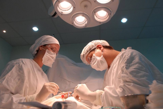 Mais de 900 transplantes foram realizados em Minas no primeiro semestre de 2016