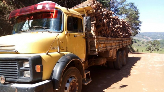 Polícia Ambiental apreende madeira ilegal em São José do Jacuri