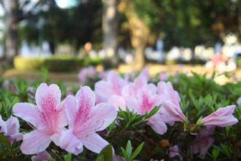 Calor, chuva e granizo: confira como será a primavera em Minas Gerais