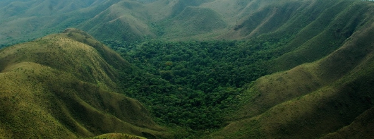 Meio Ambiente: Nove municípios da região estão na lista de habilitados a receber ICMS Ecológico