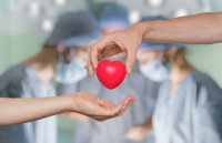 Número de doações e transplantes de órgãos segue em baixa no Estado