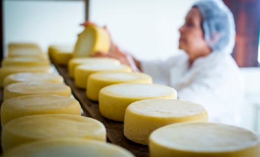 Serro declara “Modo artesanal de fazer o queijo do Serro” como patrimônio de natureza imaterial