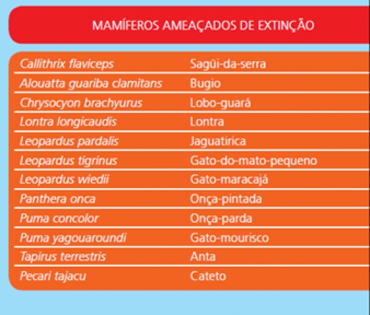 CONSERVAÇÃO DA BIODIVERSIDADE: Resultados do Monitoramento da Fauna evidenciam a Alta Qualidade Ambiental das áreas da CENIBRA
