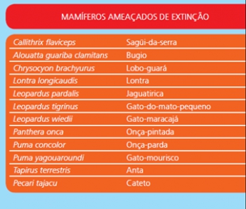 CONSERVAÇÃO DA BIODIVERSIDADE: Resultados do Monitoramento da Fauna evidenciam a Alta Qualidade Ambiental das áreas da CENIBRA