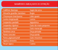 CONSERVAÇÃO DA BIODIVERSIDADE: Resultados do Monitoramento da Fauna evidenciam a Alta Qualidade Ambiental das áreas da CENIBRA