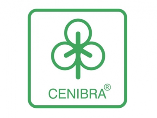 CENIBRA e SEBRAE inauguram NEJ em Belo Oriente