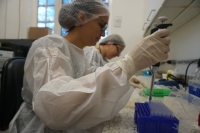 Funed sedia curso internacional para investigação genética da dengue