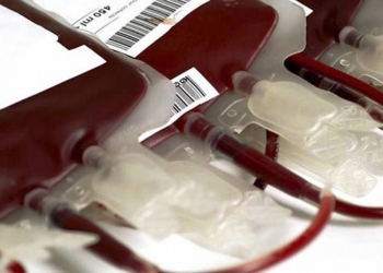 Hemominas convoca doadores de sangue, especialmente os que tenham tipo sanguíneo O