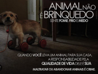 ANIMAL NÃO É BRINQUEDO: Com muitos cães abandonados e em tratamento, ONG Pets de Rua e Adoção Guanhães pede cautela aqueles que pensam em presentear com pets no Natal