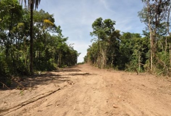 ATÉ R$ 15 MIL: Governador sanciona lei que perdoa multas ambientais de pequeno valor