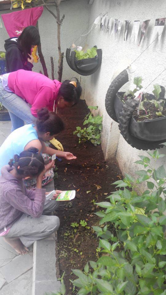 Projeto Horta na Escola segue em Guanhães