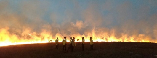 Detentos vão atuar no combate a incêndios florestais em Minas