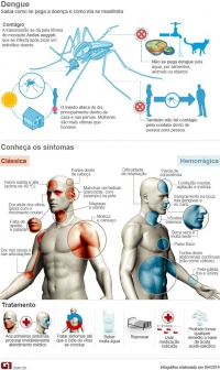 Saiba reconhecer os principais sintomas da dengue