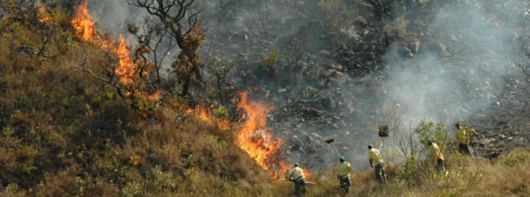 Lançada campanha de prevenção a incêndios florestais em Minas