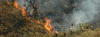 Lançada campanha de prevenção a incêndios florestais em Minas