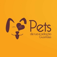Diretoria da ONG Pets de Rua e Adoção Guanhães passa por reformulação e está aberta a novos integrantes