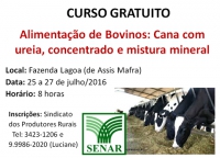 Capacitação: Abertas as inscrições para cursos ligados a bovinocultura em Sabinópolis