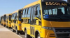 Volta às Aulas: Transporte Escolar na Rede de Ensino Municipal Mantém Cronograma para Alunos
