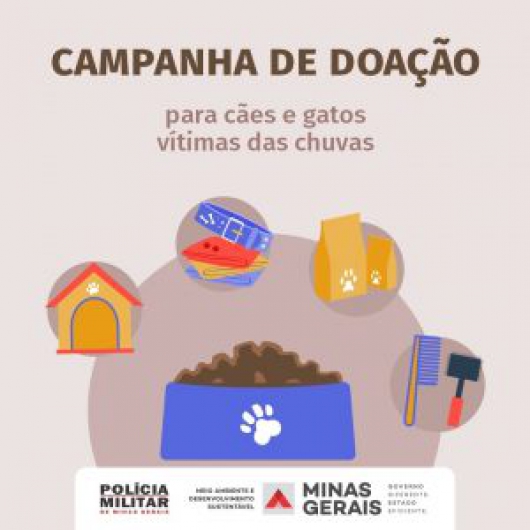 Estado irá receber doações para cães e gatos vítimas da chuva em Minas