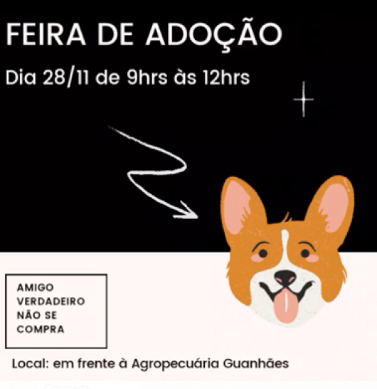 SOLIDARIEDADE PET: Voluntários vão realizar Feira de Adoção de filhotes no próximo sábado, em Guanhães!