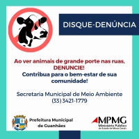 GUANHÃES: Divulgado balanço da primeira semana do disque-denúncia de animais de grande porte pelas vias públicas