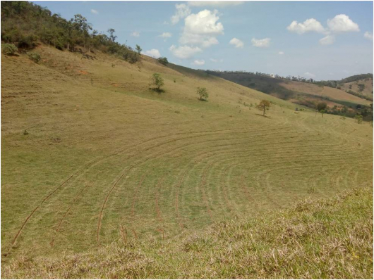 Técnicas de conservação do solo adotadas pela CENIBRA auxiliam no combate a escassez hídrica na Bacia do Rio Doce