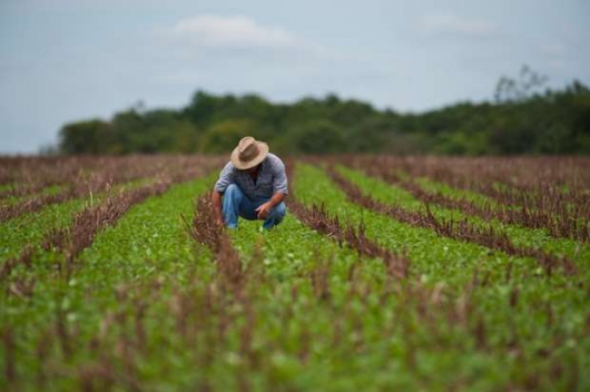 Começa nesta segunda o prazo para entrega da declaração do imposto sobre área rural