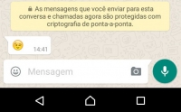 WhatsApp adota criptografia em conversas; entenda o que é