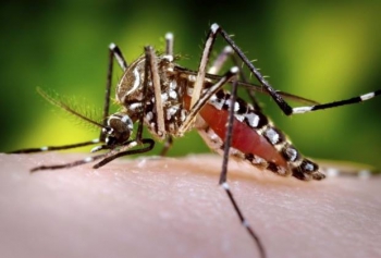 Minas tem a primeira morte suspeita por dengue em 2017 e casos prováveis dobram em 7 dias