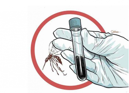 Planos de saúde são obrigados a cobrir teste rápido da dengue
