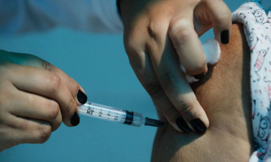 Anvisa atualiza andamento de análises de vacina contra covid-19