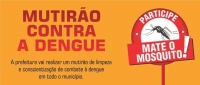 Mutirão contra dengue começa nesta segunda em Coluna