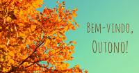 BEM-VINDO OUTONO!