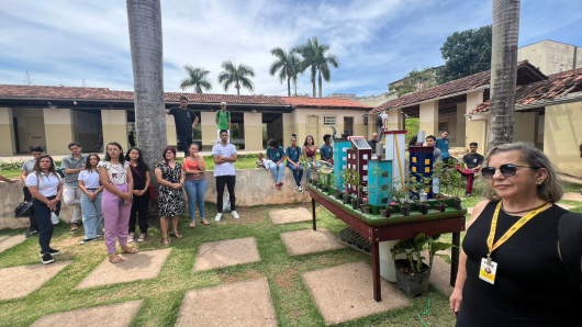 Trabalho de Reciclagem realizado na E.E Senador Francisco Nunes Coelho teve sua culminância na manhã desta terça-feira
