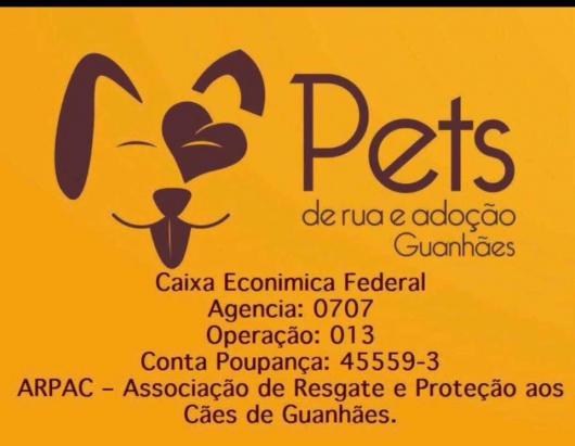 ONG Pets de Rua e Adoção Guanhães suspende atendimentos por falta de recursos financeiros